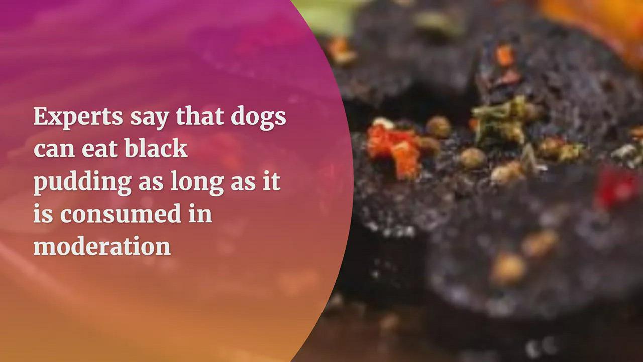 'Video thumbnail for Can dogs eat black pudding?'