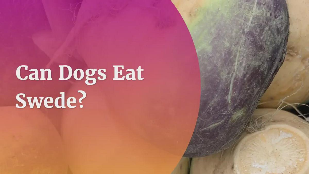 'Video thumbnail for Can Dogs Eat Swede? 5 Amazing Benefits You Should Know'
