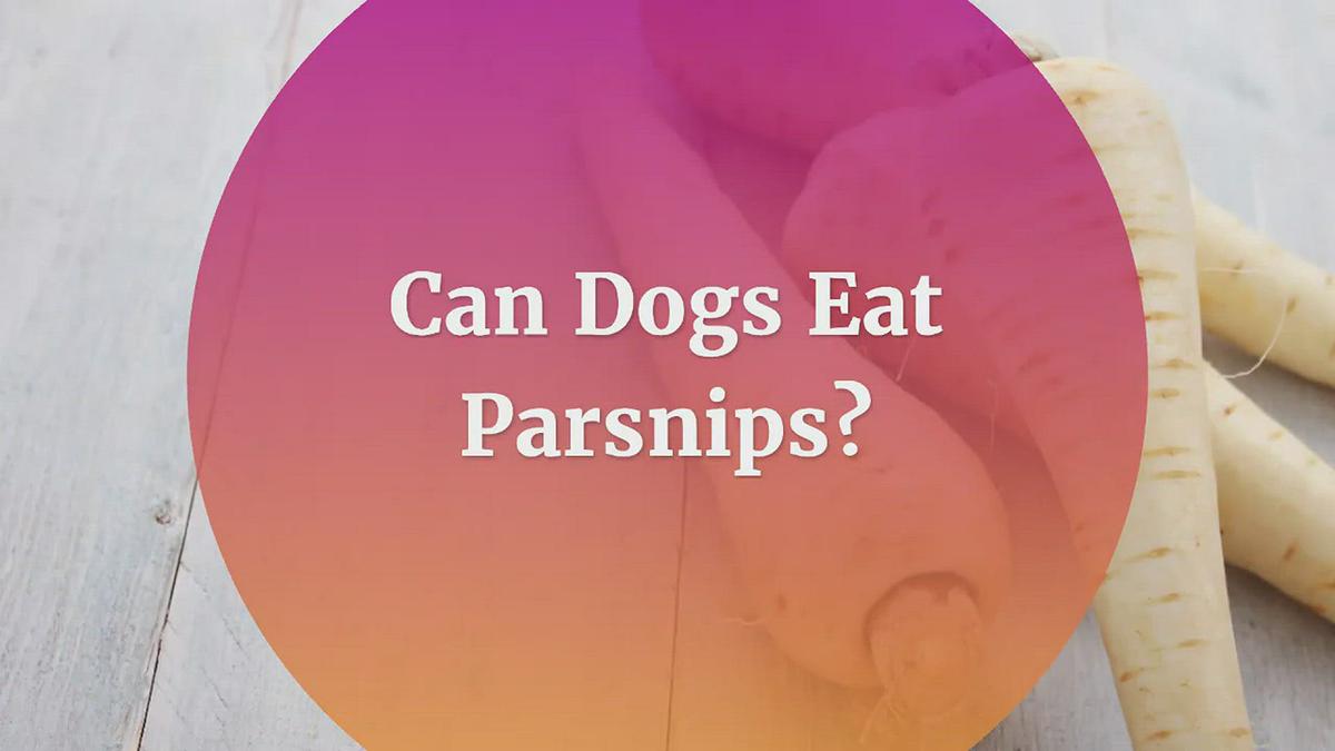 'Video thumbnail for Can Dogs Eat Parsnips?'