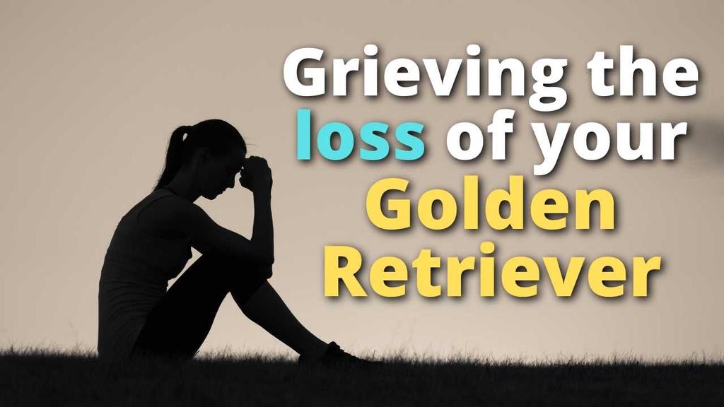 'Video thumbnail for Grieving the Loss of Your Golden Retriever'