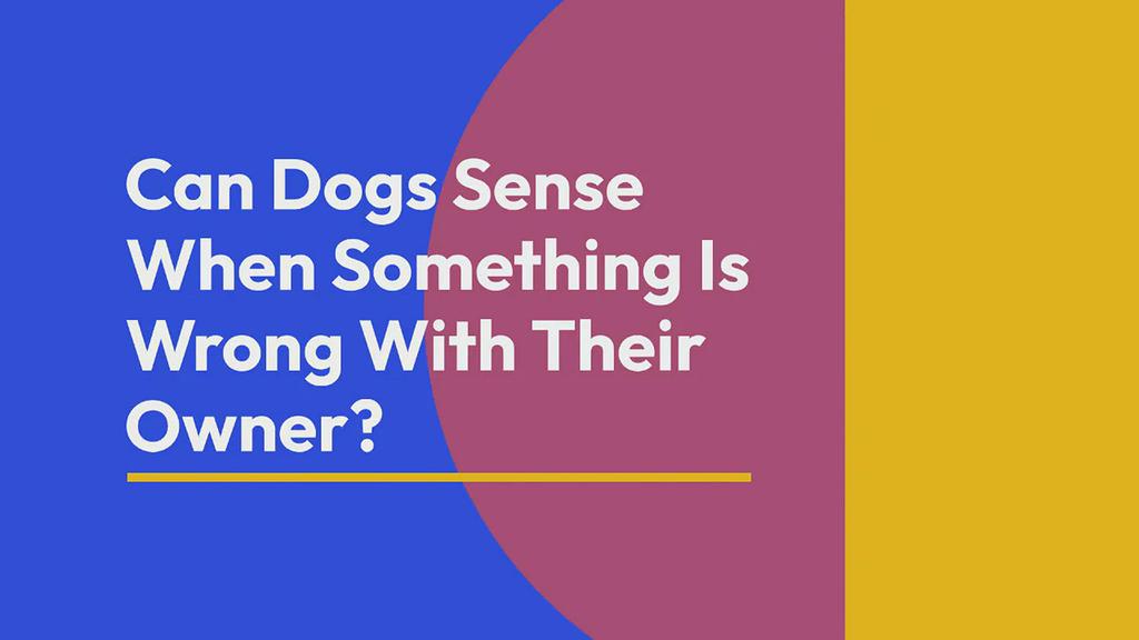 'Video thumbnail for can dogs sense when something is wrong with their owner'
