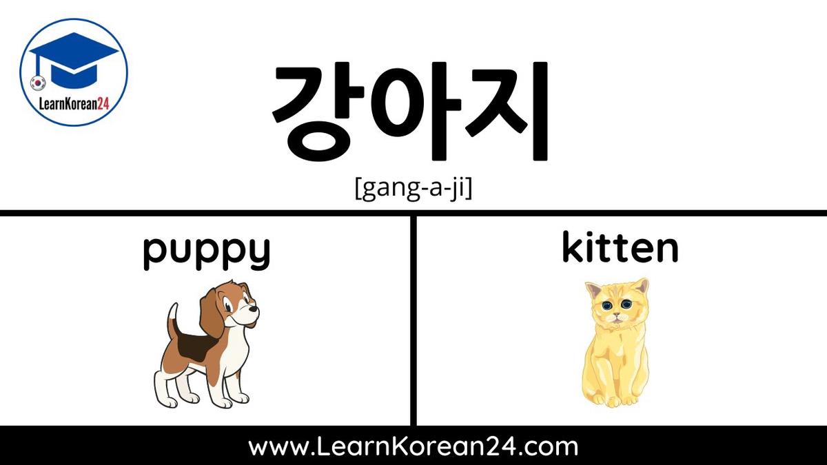 'Video thumbnail for Pets In Korean | Korean Vocabulary Practice Exercise'