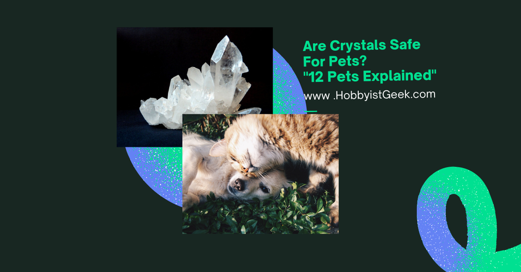 'Video thumbnail for Are Crystals Safe For Pets?'