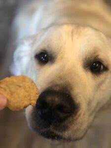 Herbal Dog Treats Recipe for Anxiety and Stress