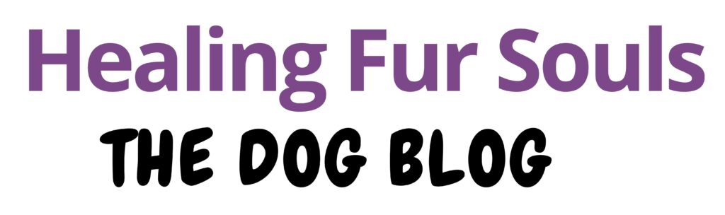 The Dog Blog | Healing Fur Souls