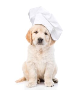 Chef Dog