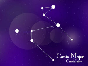 Canis Major constellation