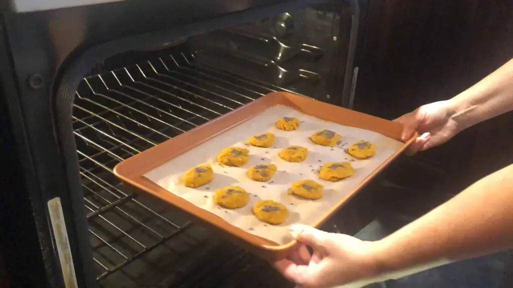A person taking a cookie sheet of CBD dog treats out of the oven.  Dog cookies were baked using our CBD Dog Treat Recipe