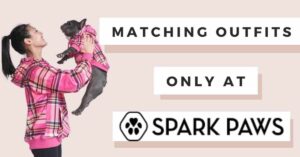 spark paws ad