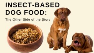 Insect-Based Dog Food The Other Side of the Story