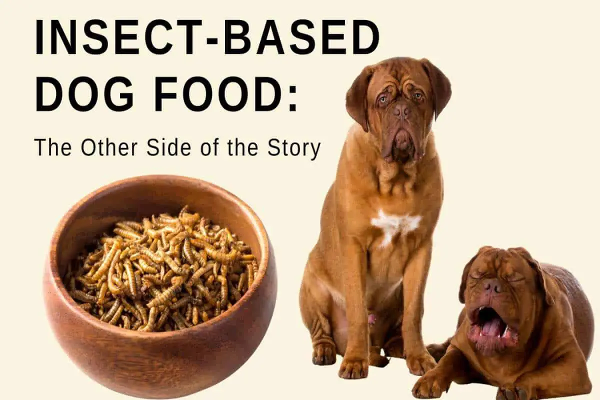 2 dogs looking upset with a bowl of insects. Title reads Insect-Based Dog Food