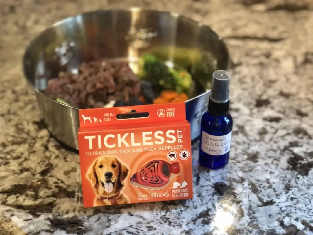 A tickless with a dog food bowl of immune-boosting food plus a bottle of essential oils.