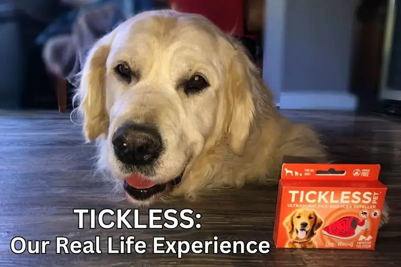 A Golden Retriever next to a Tickless Ultrasonic Flea & Tick Repellant. Title reads Tickles: Our real life experience